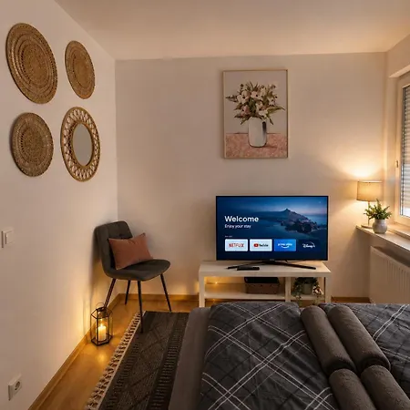 Modern Comfort With Balcony Dresden